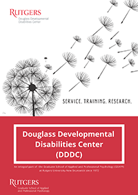 DDDC Brochure