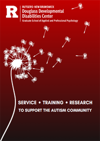 DDDC Brochure