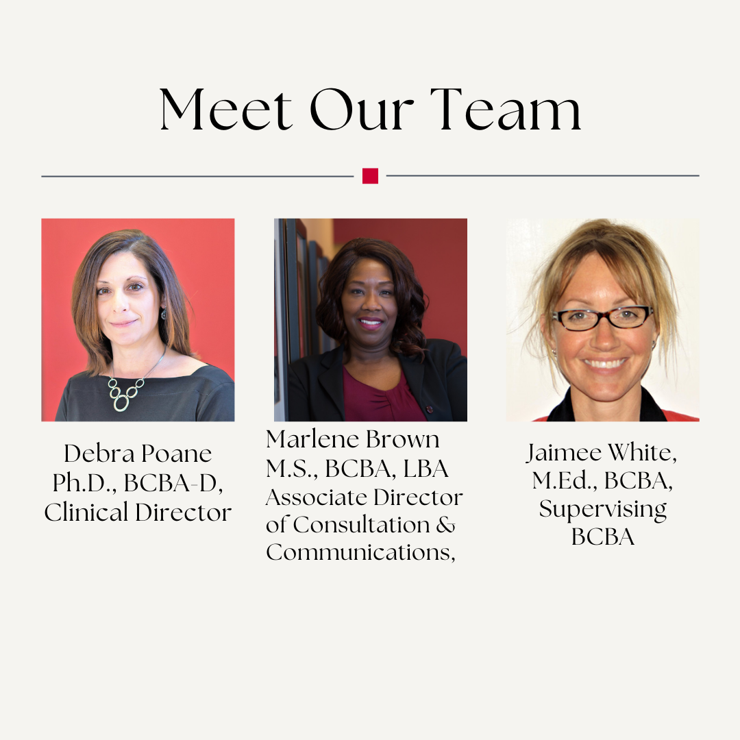 Meet our Team